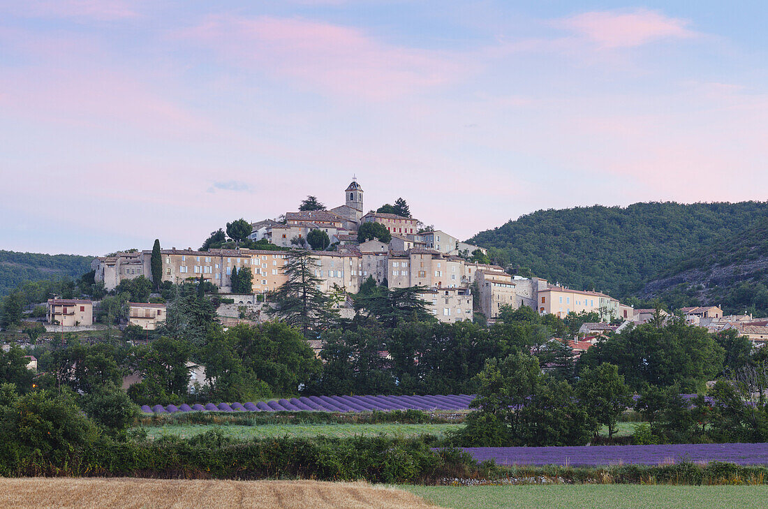 Weizenfeld, Lavendelfelder, Lavendel, Banon, Dorf, Alpes-de-Haute-Provence, Provence, Frankreich, Europa