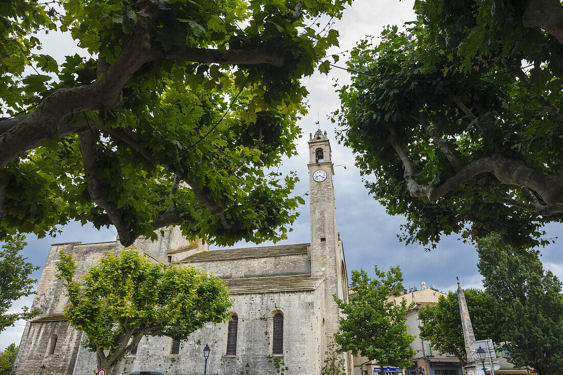 Catedrale Notre-Dame du Bourguet, Kirche, 12. Jhd., gotisch, Place du Bourguet, Hauptplatz, Forcalquier, Alpes-de-Haute-Provence, Provence, Frankreich, Europa