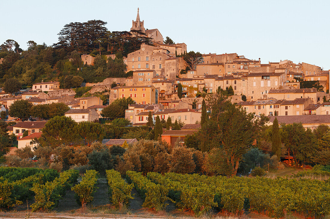 Bonnieux, Dorf, Weinstöcke, Luberon-Gebirge, Luberon, Naturpark, Vaucluse, Provence, Frankreich, Europa