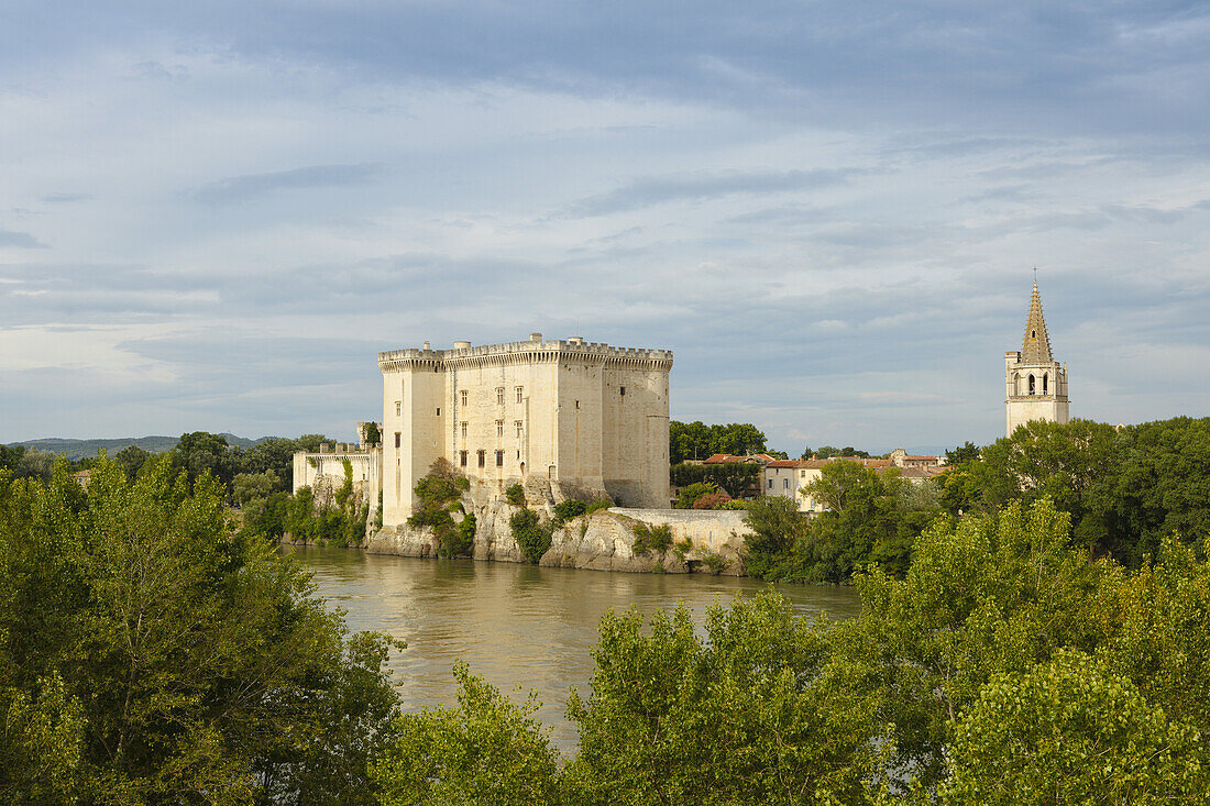 Chateau, castle, Tarascon, Rhone, river, Bouches-du-Rhone, Provence, France, Europe