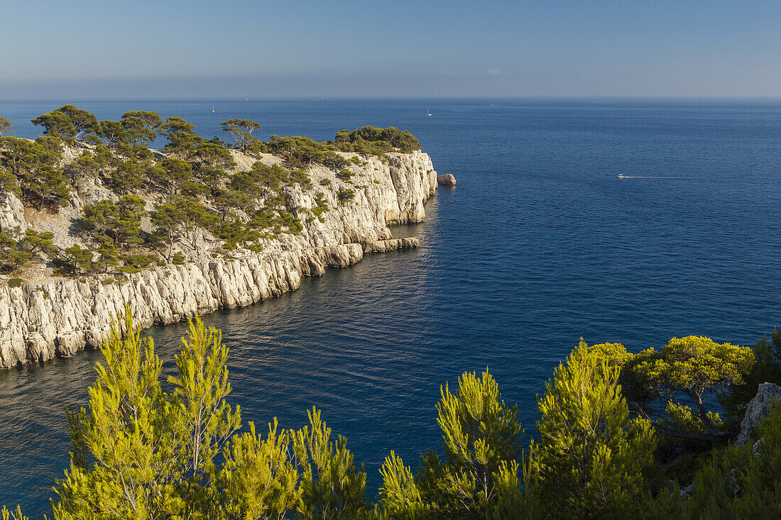 Calanque de Port-Pin, les Calanques, bei Marseille, Côte d Azur, Mittelmeer, Bouches-du-Rhone, Provence, Frankreich, Europe