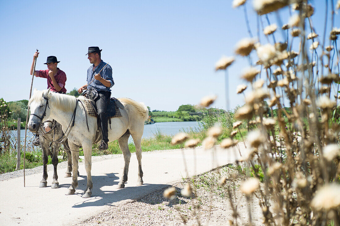 Gardians auf deren Camargue Pferd vor deren Manade, bei Aigues-Mortes, Camargue, Gard, Languedoc-Roussillon, Frankreich