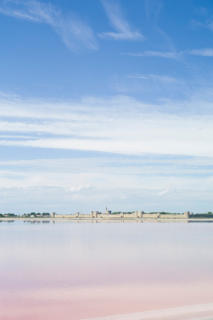 Salt marshes near Aigues-Mortes, Camargue, Gard, Languedoc-Roussillon, France