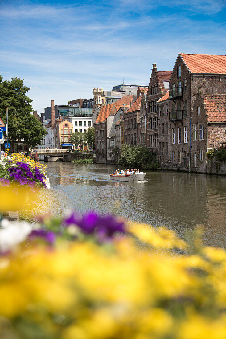 Blick durch Blumen auf Ausflugsboot auf einem Kanal, Gent, Flandern, Belgien, Europa