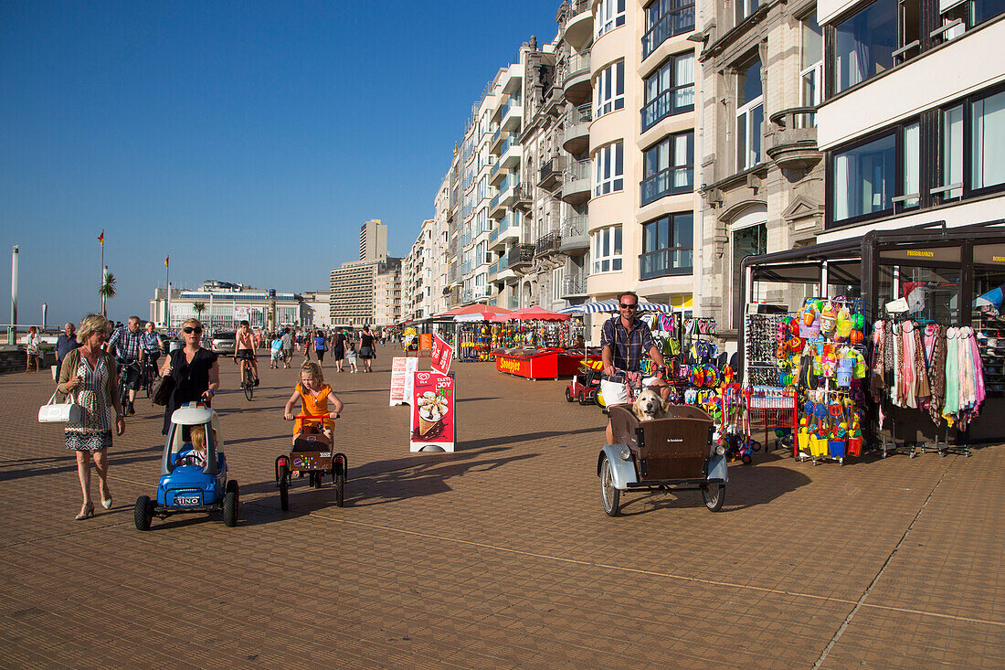 Man on bicycle with cart and Golden Retriever dog in it on the beach promenade, Ostend, Flanders, Flemish Region, Belgium