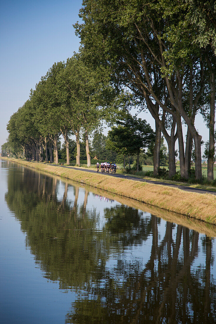 Radfahrer fahren auf Radweg entlang Kanal Plassendale - Niuewpoort, nahe Nieuwpoort, Flandern, Belgien, Europa