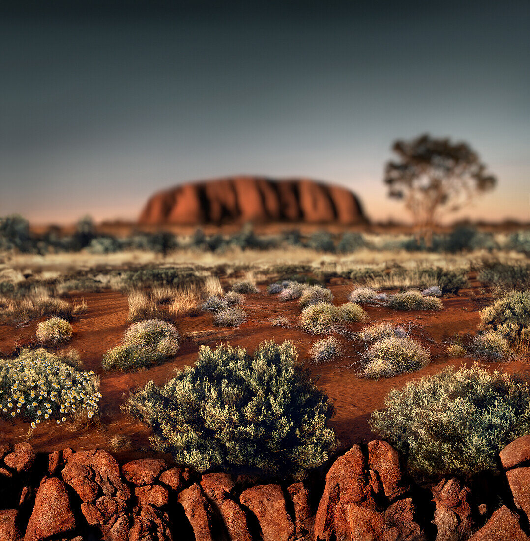 Ayers Rock (Uluru) bei Sonnenuntergang, Northern Territory, Australien
