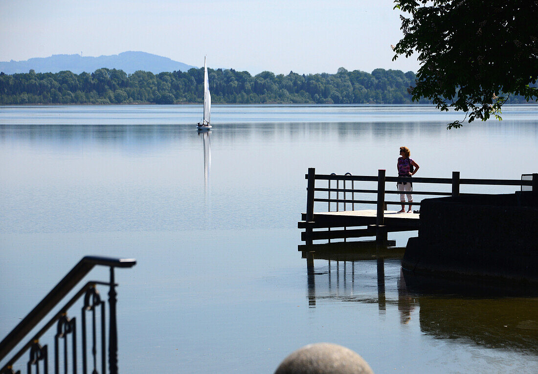 Lake Waginger near Waging, Rupertiwinkel, Chiemgau, Upper Bavaria, Bavaria, Germany