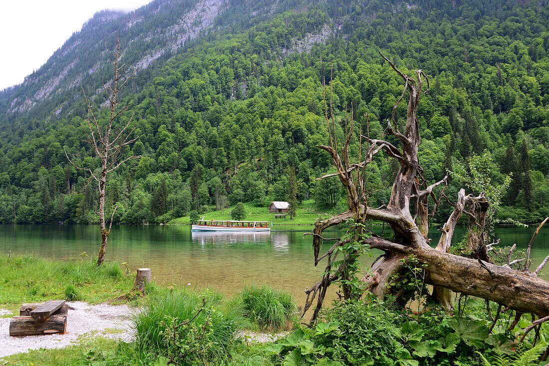 Königsseeschifffahrt auf dem Königssee, Oberbayern, Bayern, Deutschland