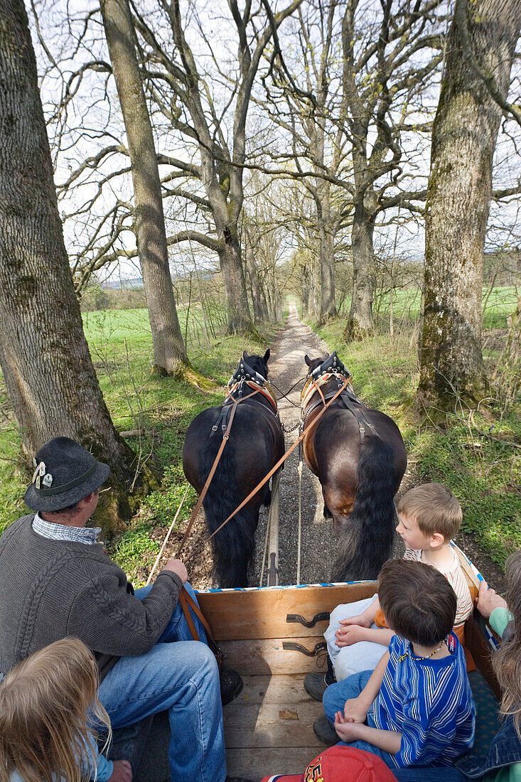 horse and cart, horse and carriage, man, children, Upper Bavaria, Germany