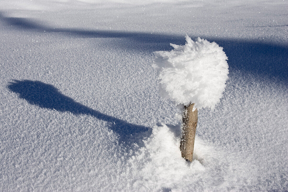 Pfosten mit Schneehaube, Sonne, Bayern, Deutschland