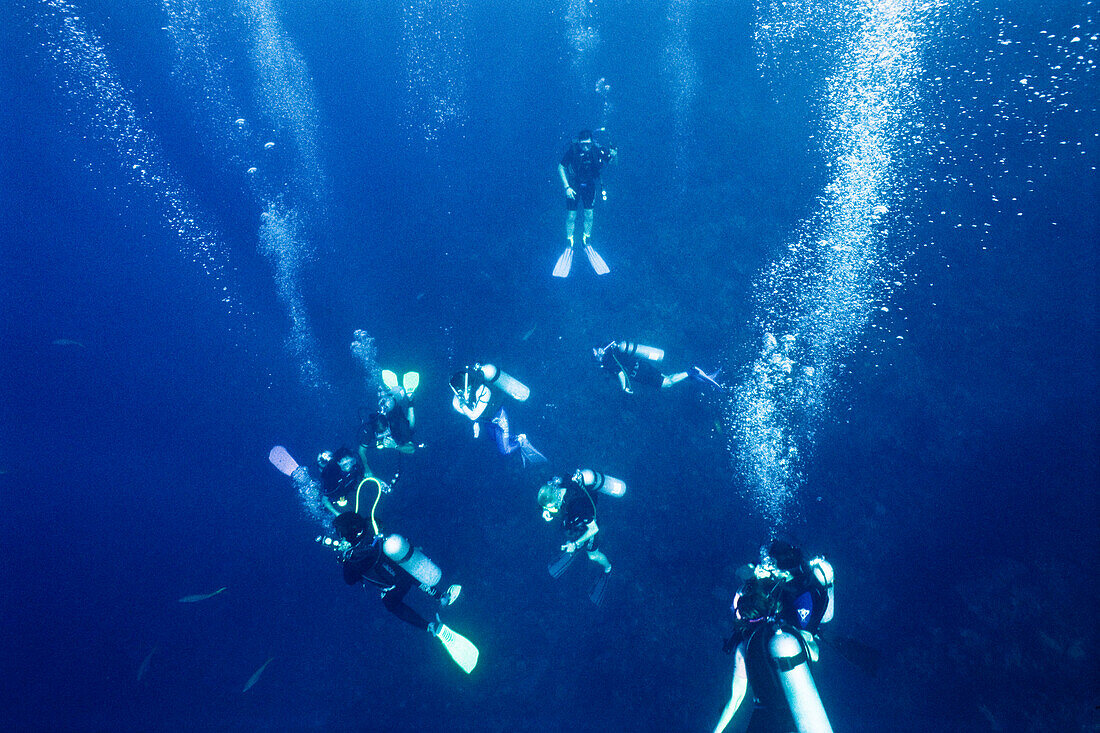 diving school, Honduras Caribbean, Central America
