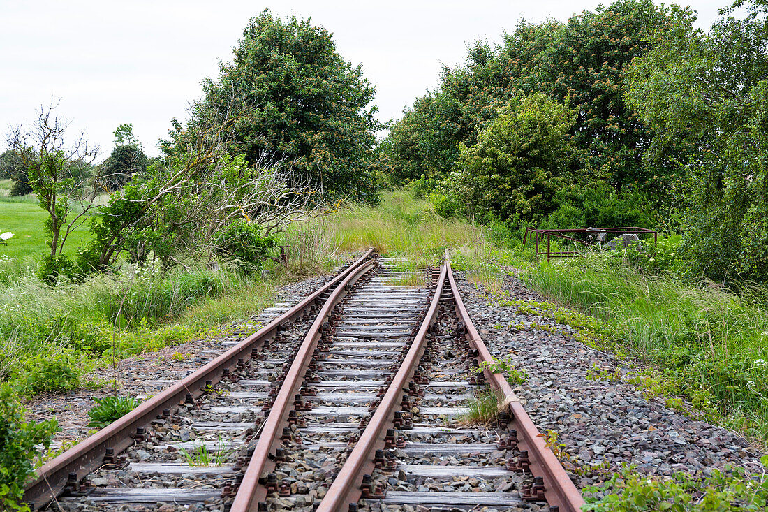 railway lines ending, Zingst,  Mecklenburg-Vorpommern, Germany, Europe