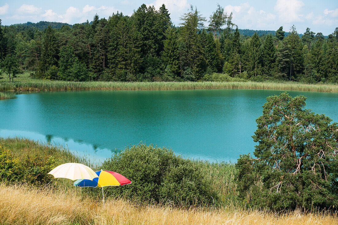 Sunshades at lake Fohnsee near Iffeldorf, Osterseen, Easter Lakes, Upper Bavaria, Germany, Europe