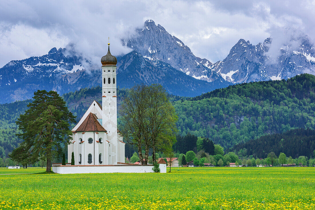 Church St. Coloman at Romantic Road with Gehrenspitze in background, Ammergau Alps, Allgaeu, Swabia, Bavaria, Germany