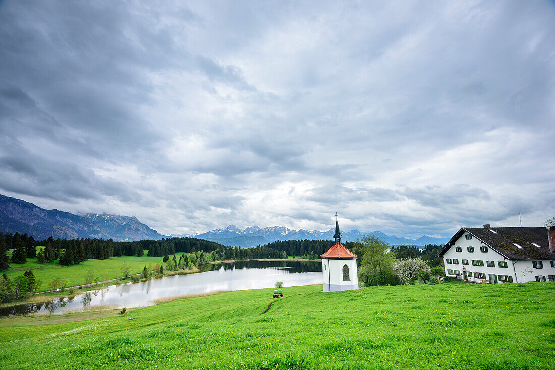 Chapel with farmhouse above lake with view towards Tannheim Mountains, lake Forggensee, Ammergau Alps, Allgaeu, Swabia, Bavaria, Germany