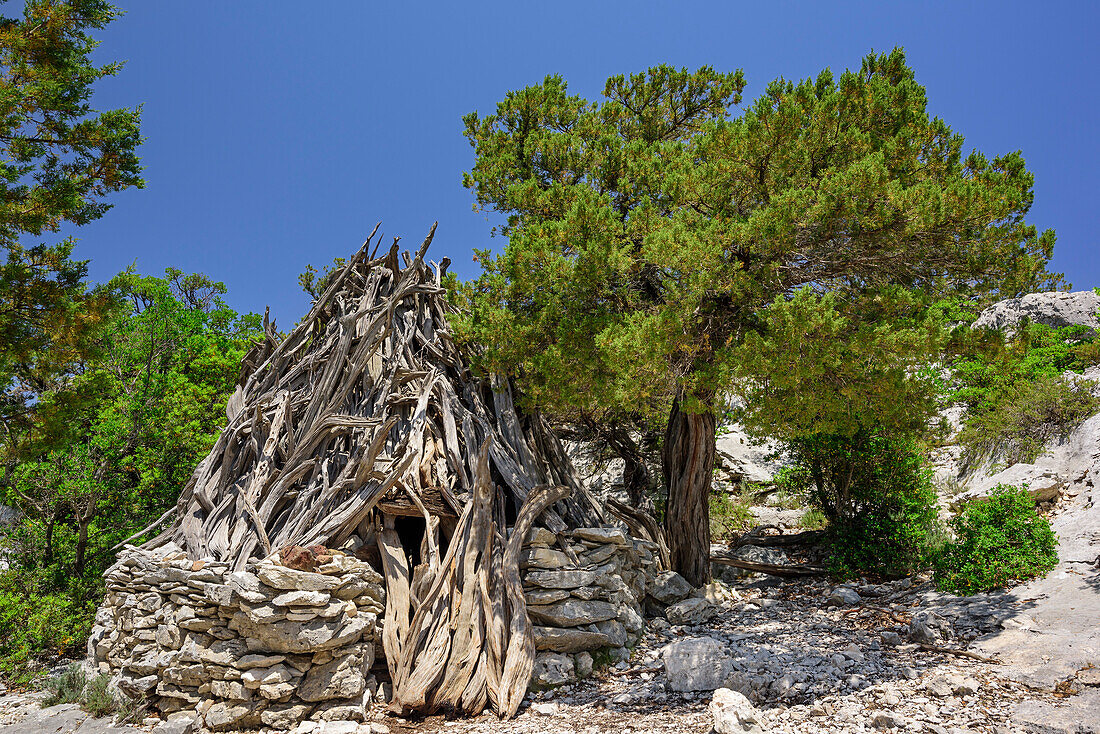 Shepherds shelter near Punta Salinas, Selvaggio Blu, National Park of the Bay of Orosei and Gennargentu, Sardinia, Italy