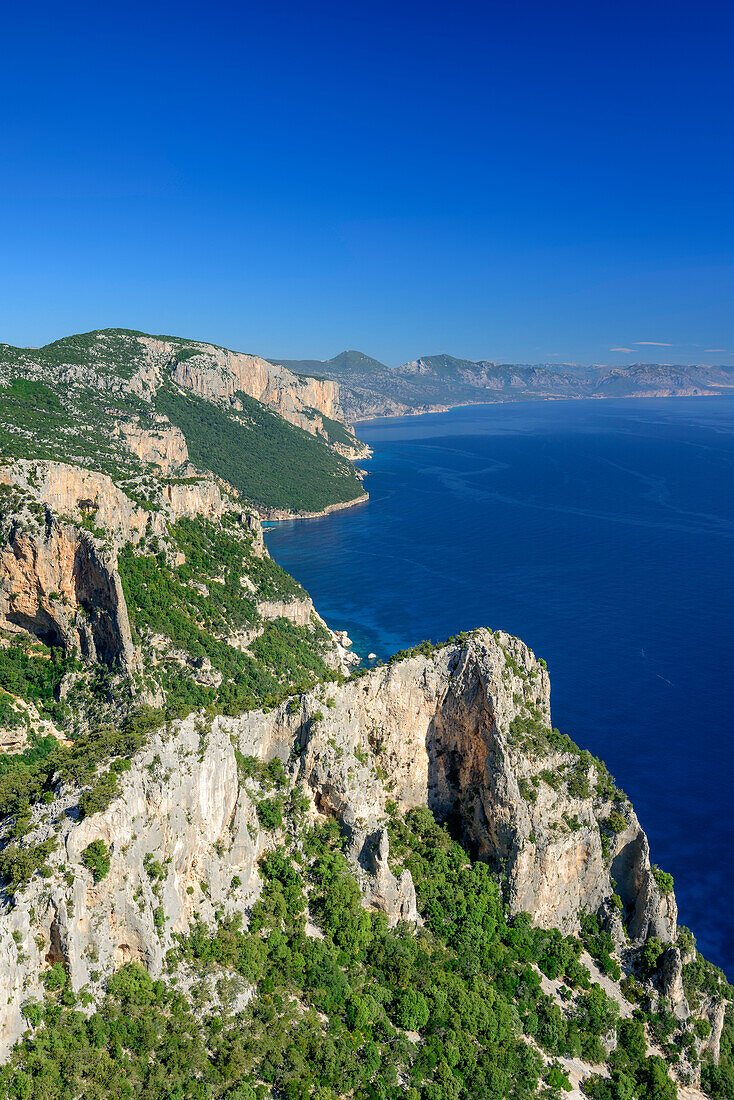 Blick auf Steilküste des Golfo di Orosei und Mittelmeer, Selvaggio Blu, Nationalpark Golfo di Orosei e del Gennargentu, Sardinien, Italien