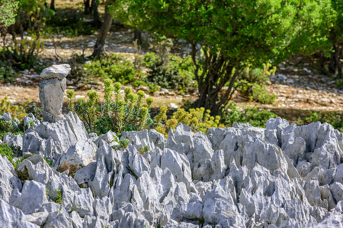 Karstfelsen am Selvaggio Blu, Nationalpark Golfo di Orosei e del Gennargentu, Sardinien, Italien