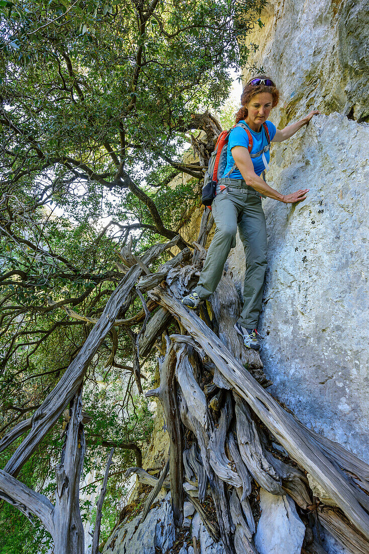 Frau beim Wandern klettert über Wacholderäste ab, Selvaggio Blu, Nationalpark Golfo di Orosei e del Gennargentu, Sardinien, Italien