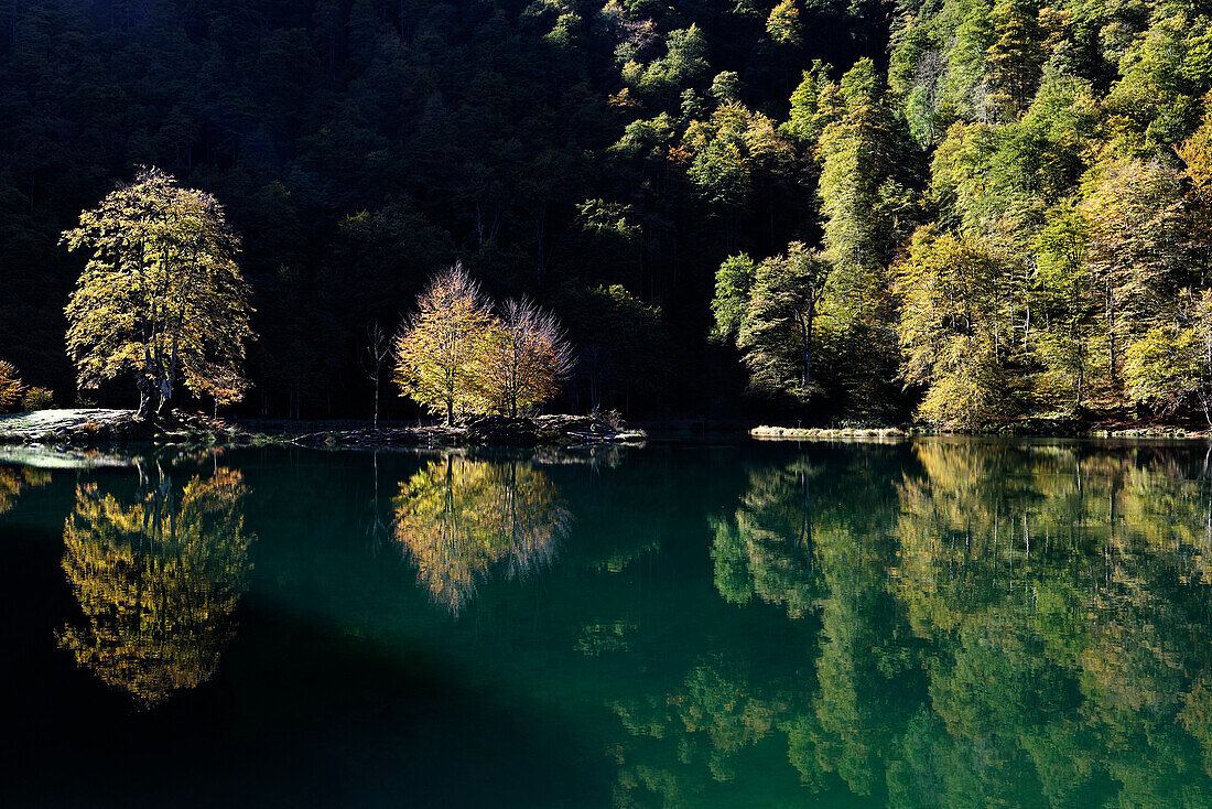 France, Midi Pyrenees, Ariege, Couserans, pond of Bethmale, autumn, trees, reflection