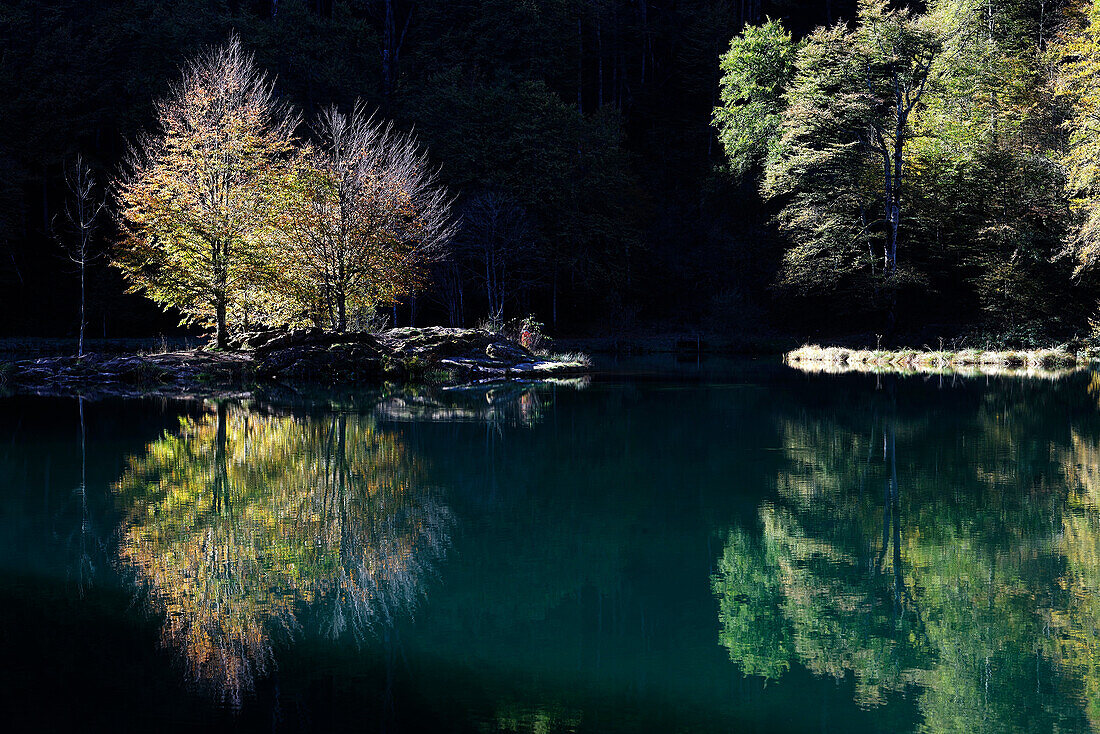 France, Midi Pyrenees, Ariege, Couserans, pond of Bethmale, autumn, trees, reflection