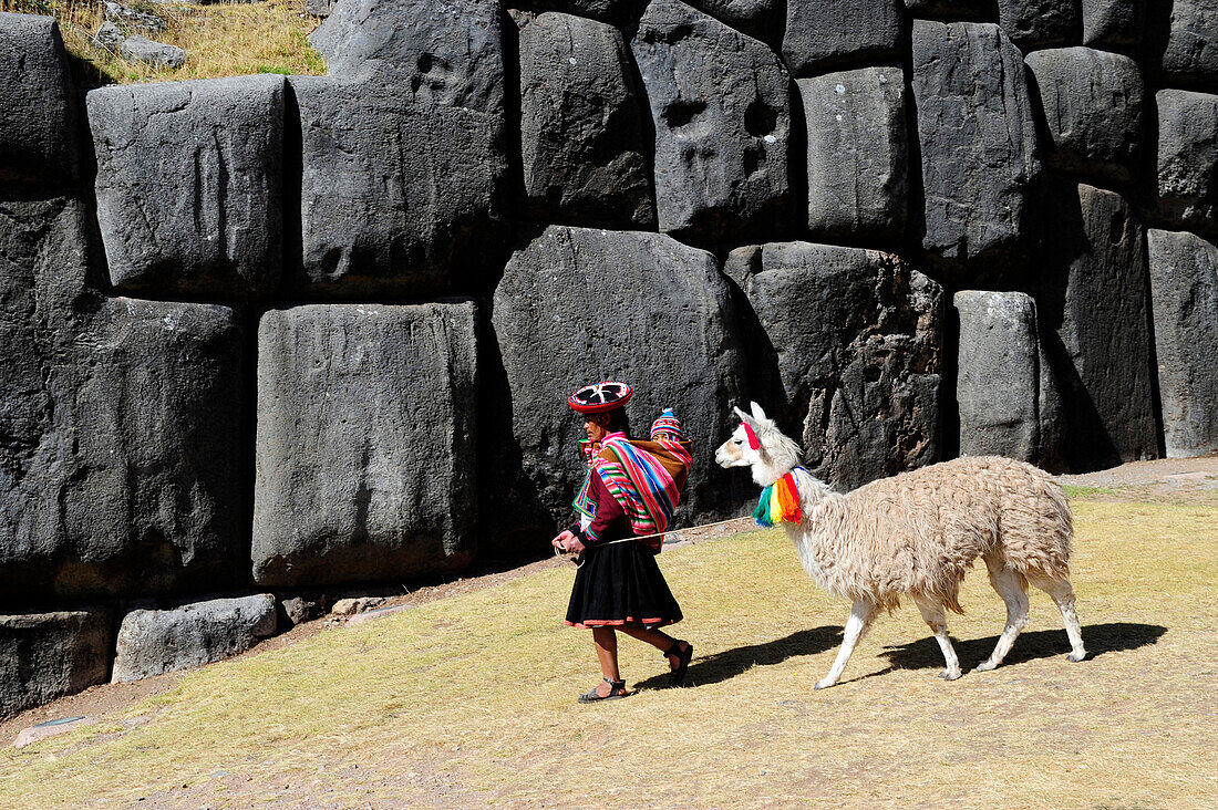 South America, Peru, Cuzco, Sacsayhuaman, wearing some woman in traditional dress carrying a baby walking with a llama