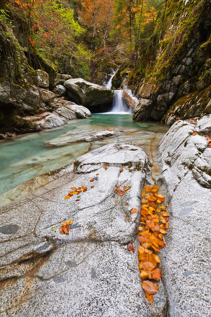 France, Aquitaine, Pyrenees Atlantiques, Waterfall and leaves grouped in a rock fissure on the bed of Bious river