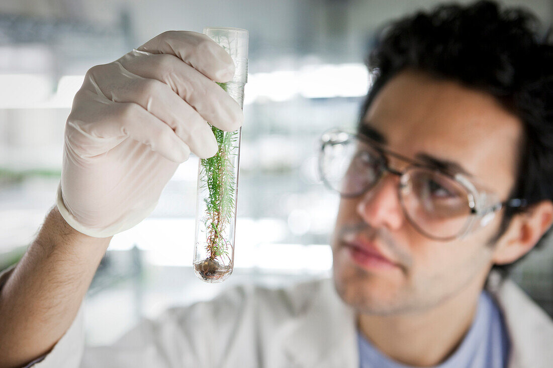 Middle Eastern scientist holding specimen in vial