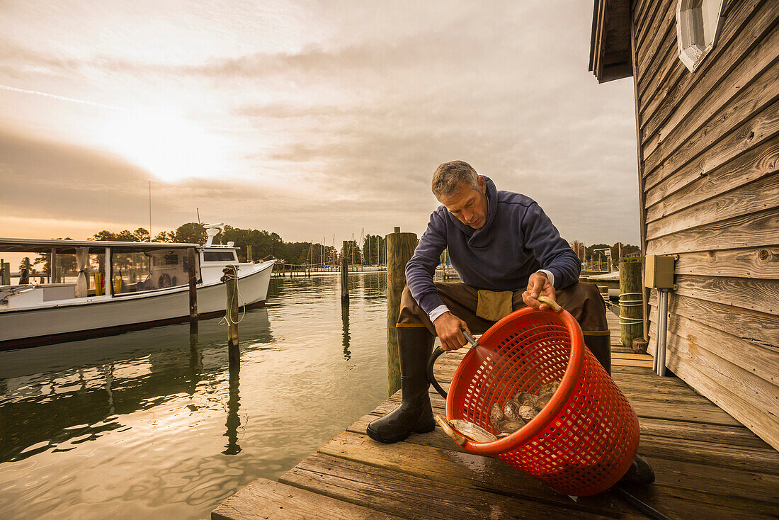 Caucasian fisherman washing catch in basket on dock