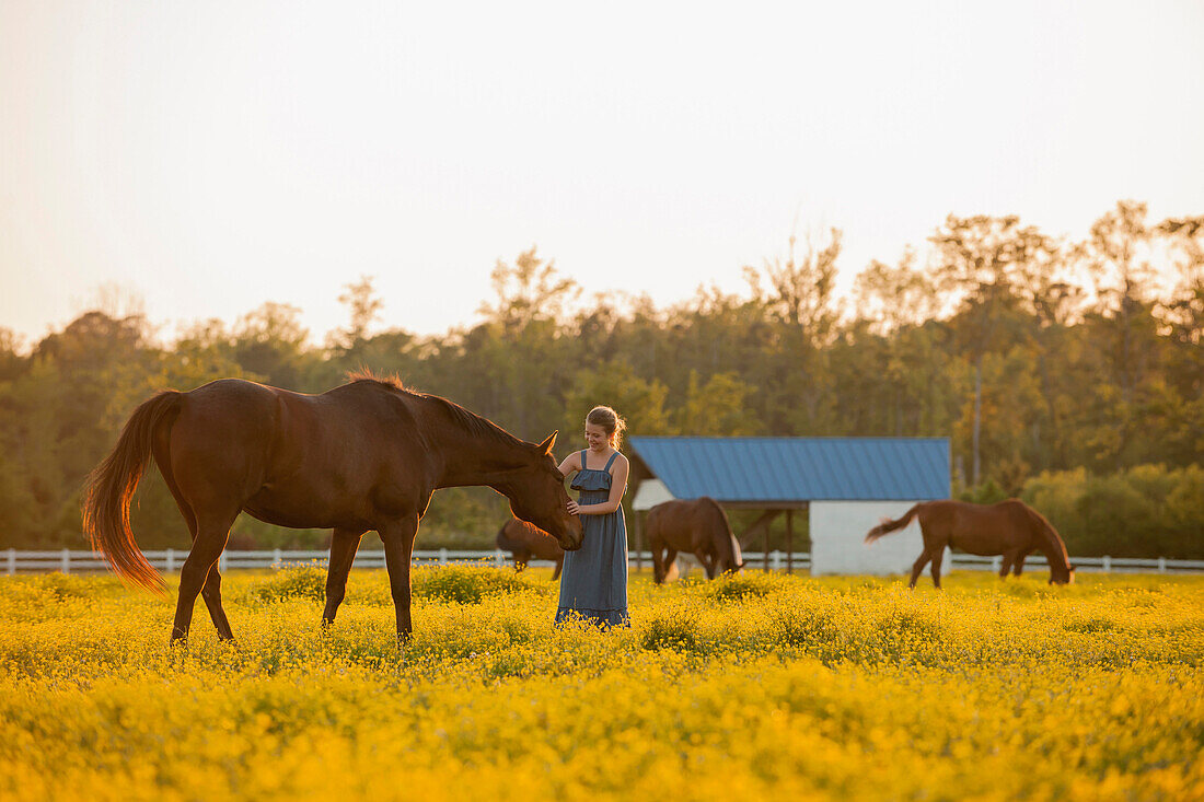 Caucasian girl petting horse in field