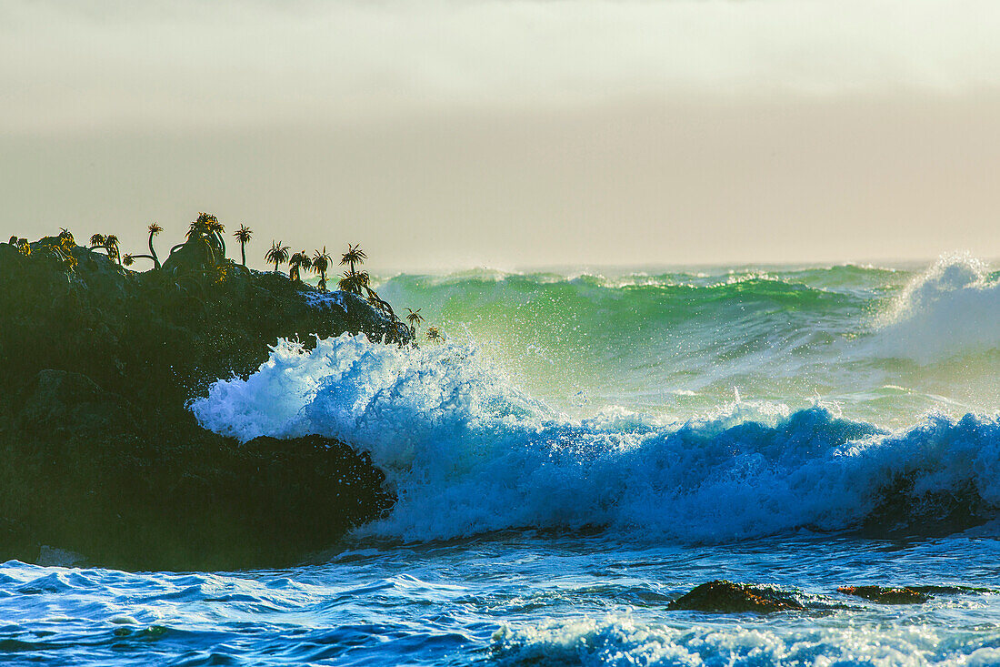 Waves crashing on cliffs, Bodega Bay, California, United States