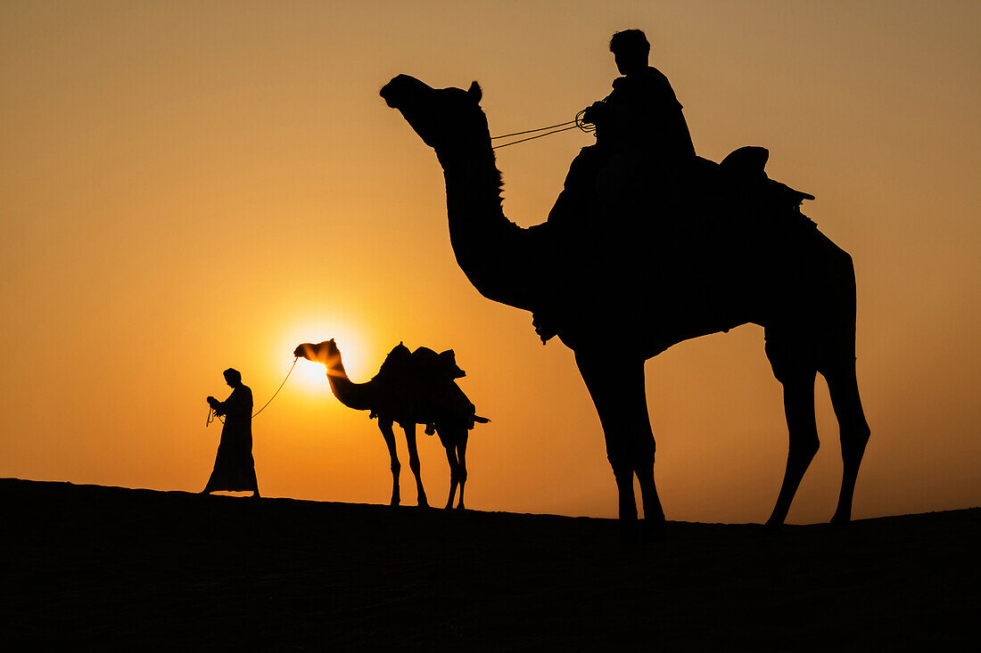 Silhouette of camels and drivers in Thar Desert, Jaisalmer, Rajasthan, India