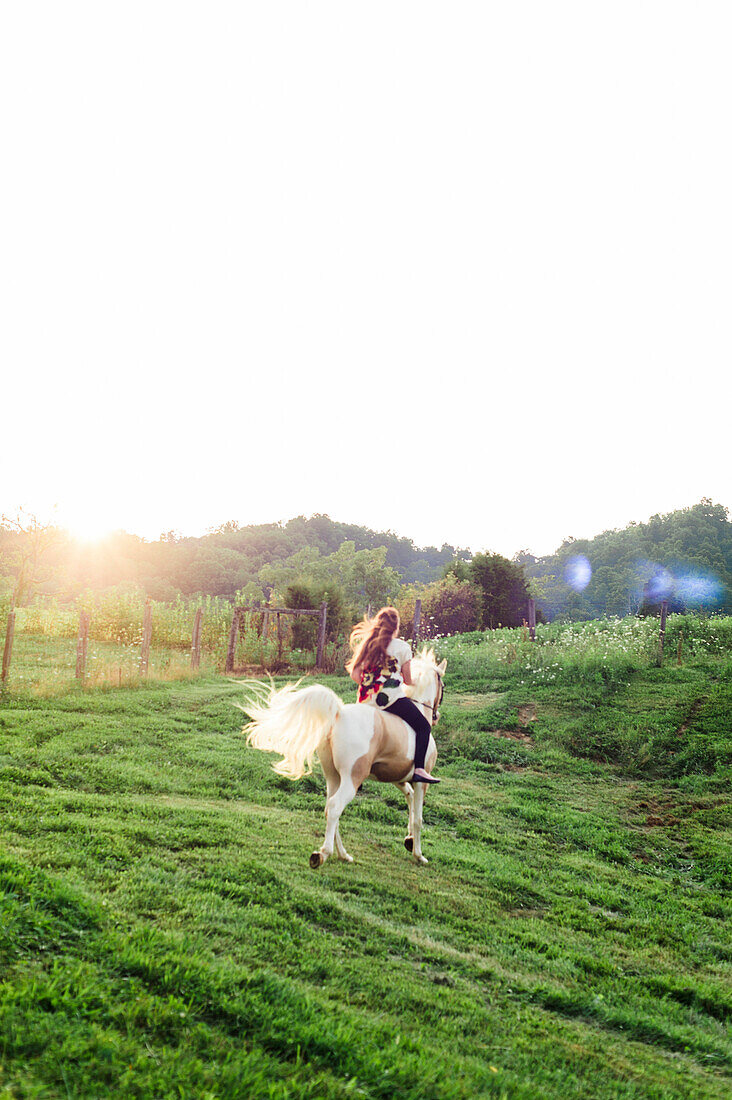 Young Woman Riding Horse in Field, Rear View