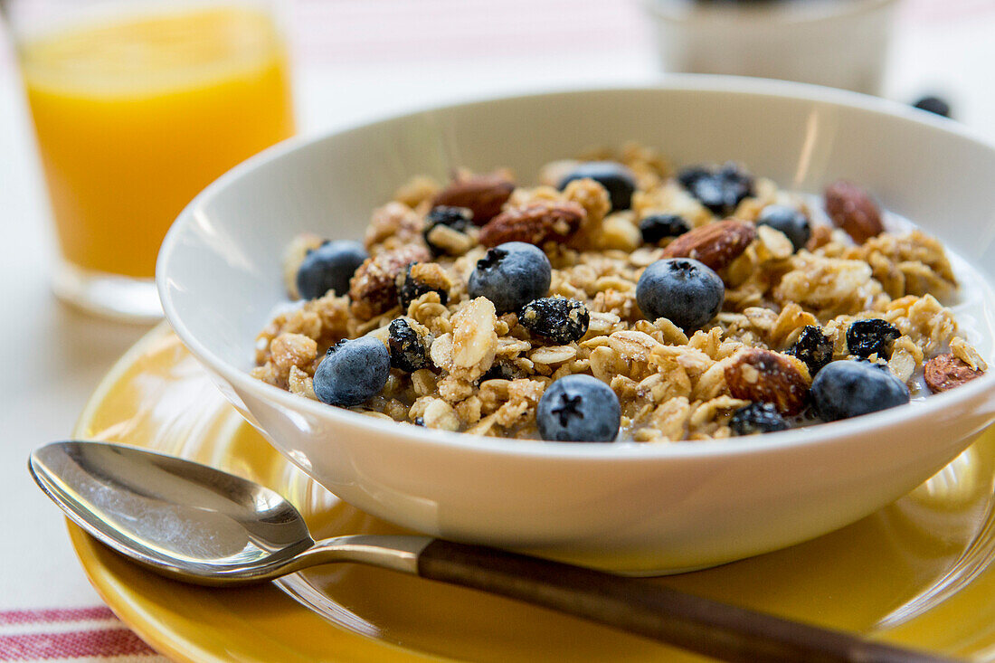 Granola Cereal with Blueberries in Bowl