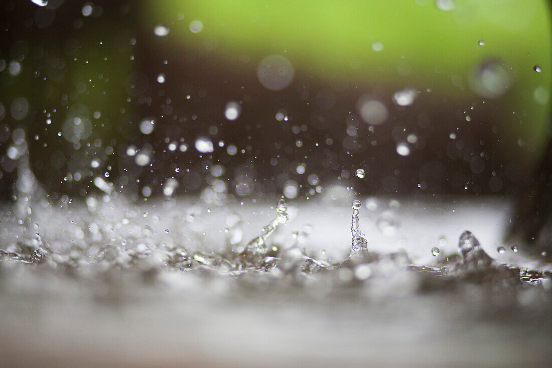 Water Drops, Close-Up