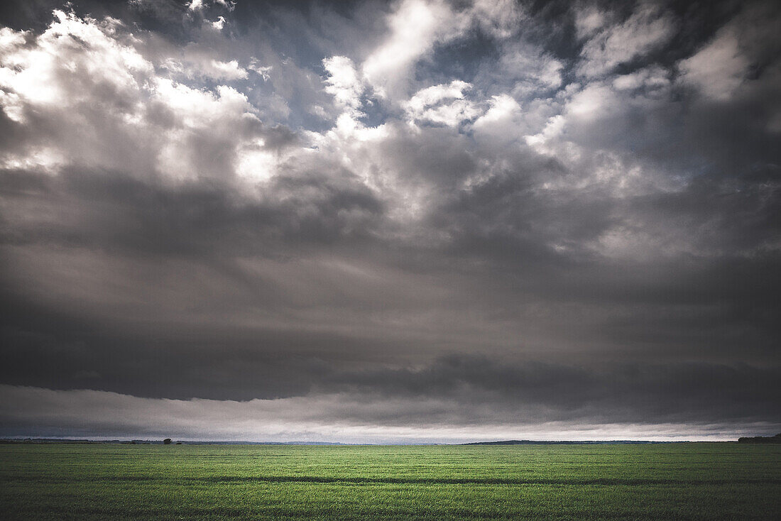 Green Field with Storm Clouds