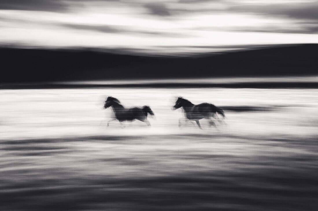 Blurred Galloping Horses