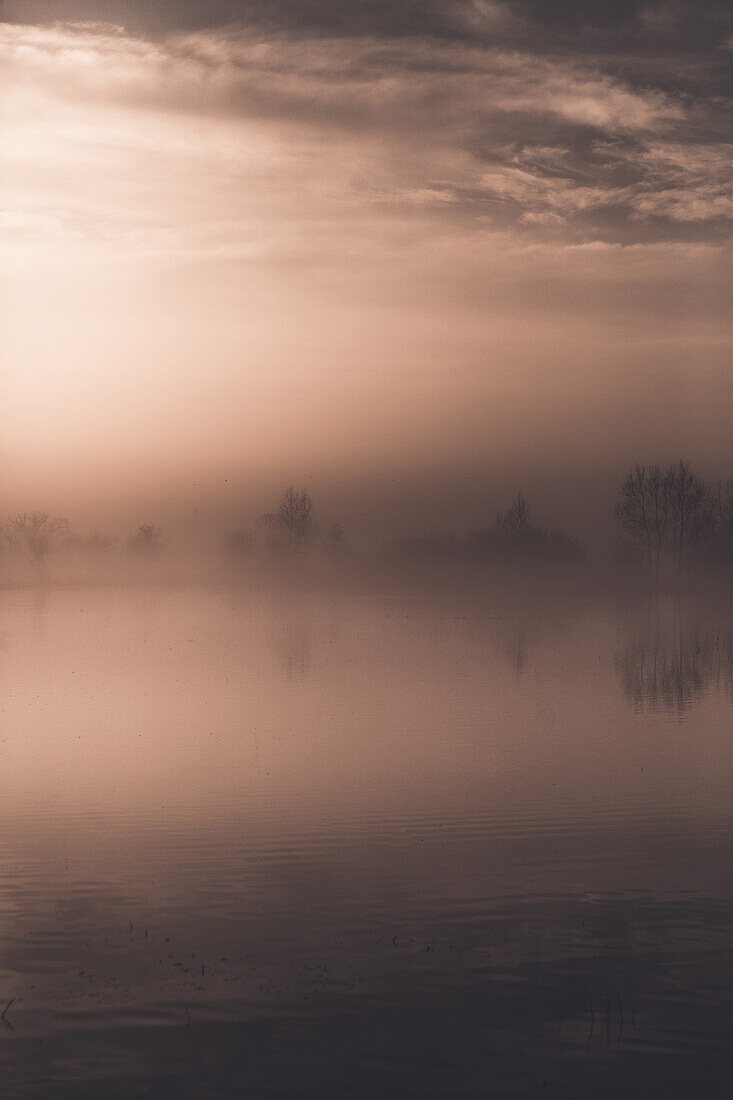 Trees Reflected in Misty Lake, Gloucestershire, England, UK