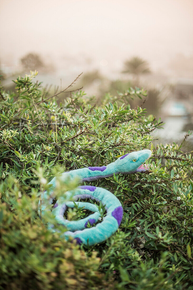 Stuffed Snake Coiled in Bush