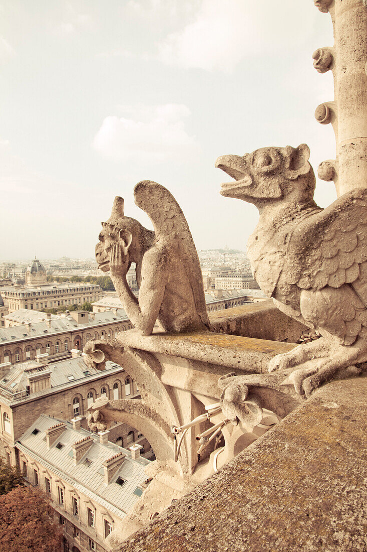 Stone Gargoyle Detail, Notre Dame, Paris, France