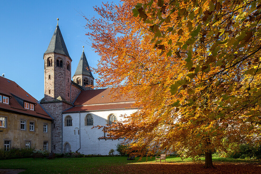 Kloster Bursfelde, ehemalige Benediktinerabtei, St. Tomas und Nikolaus, romanische Doppelkirche, Turm des Ostwerks und Klosteranlage, Herbstlaub der Buchen, Niedersachsen, Norddeutschland, Deutschland