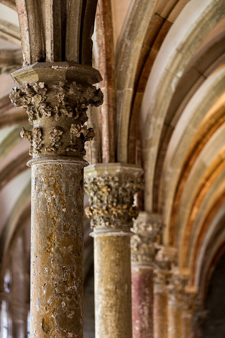 Walkenried abbey, cloister, gothic, Lower Saxony, Germany