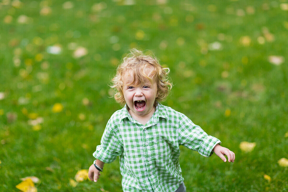 Caucasian boy laughing in field, Santa Fe, New Mexico, USA