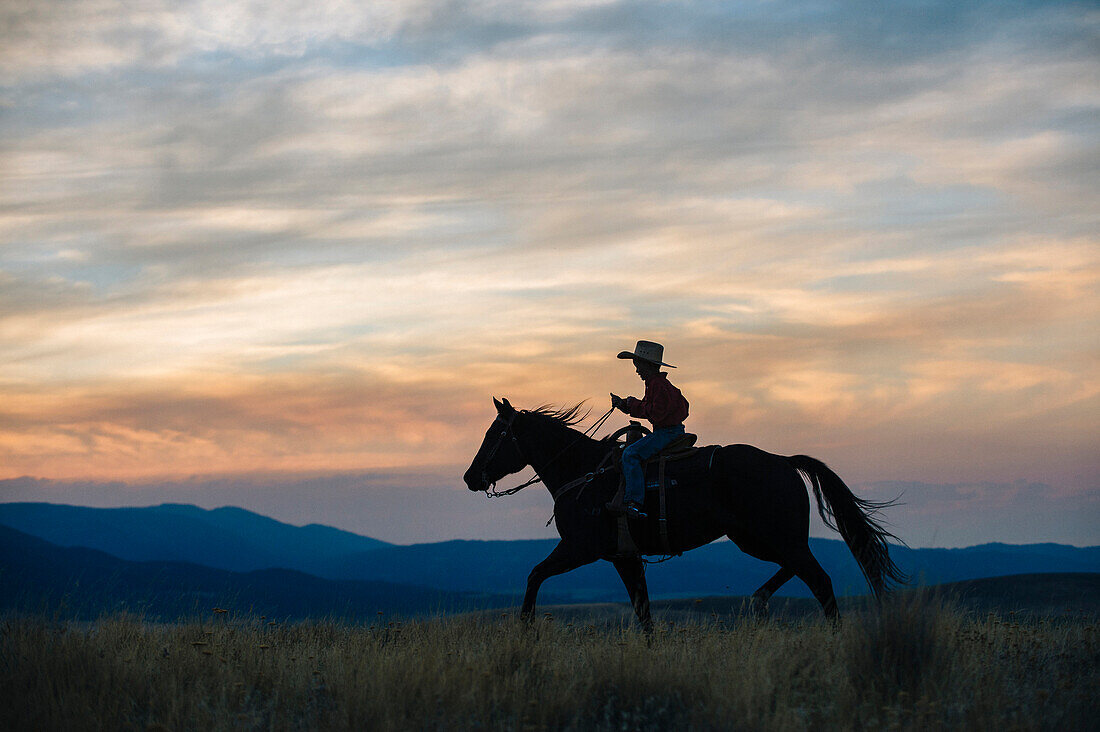 Caucasian boy riding horse in grassy field, Joseph, Oregon, USA