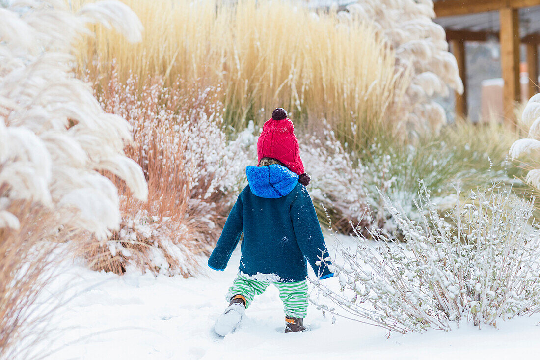 Caucasian baby boy walking in snowy garden, C1