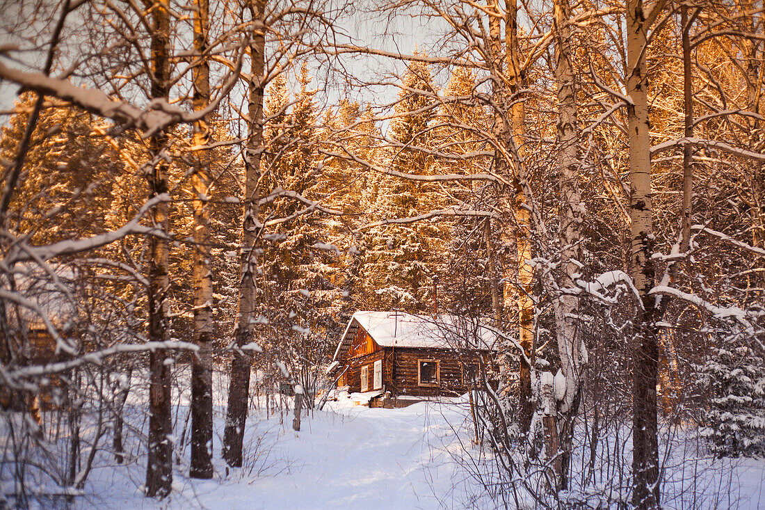 Log cabin in snowy forest, C1