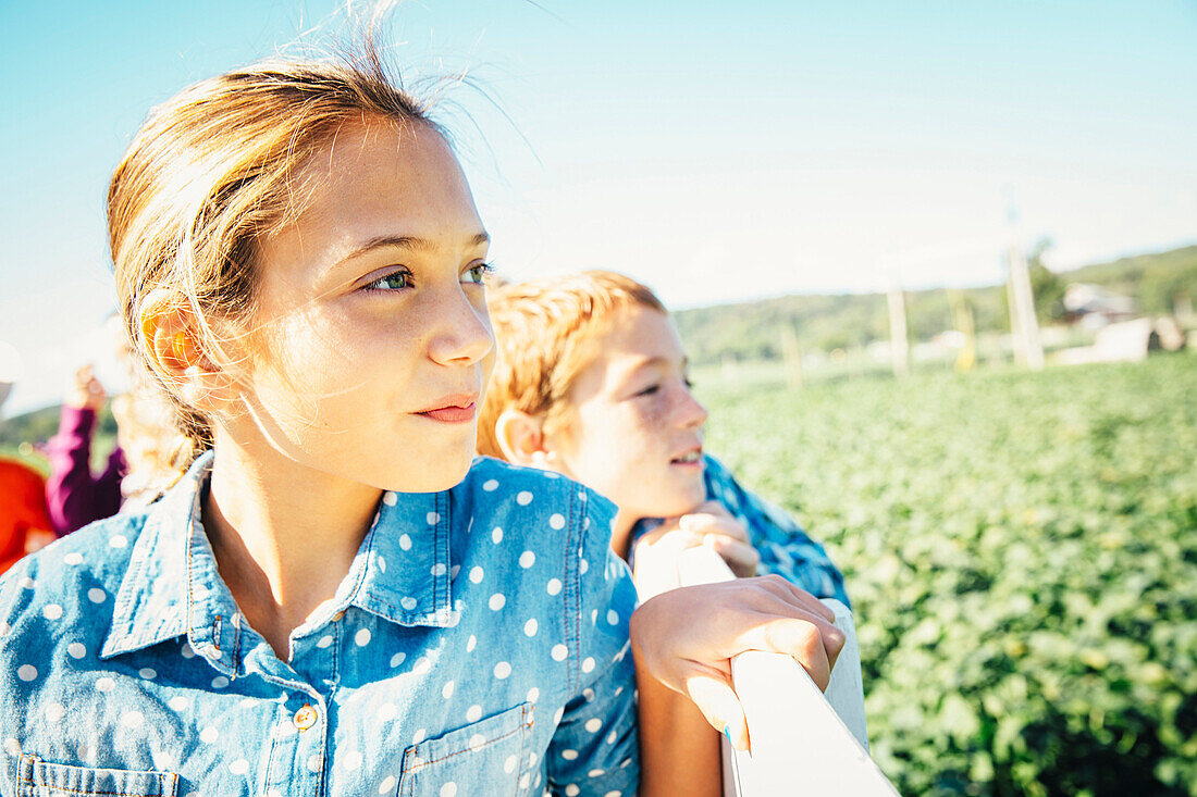 Close up of Caucasian brother and sister admiring farm, Omaha, Nebraska, USA