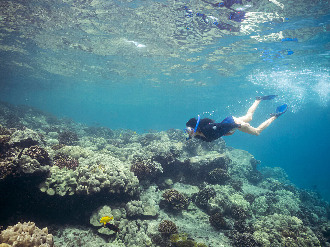 Caucasian woman snorkeling near coral reef in tropical ocean, The Big Island, Hawaii, United States