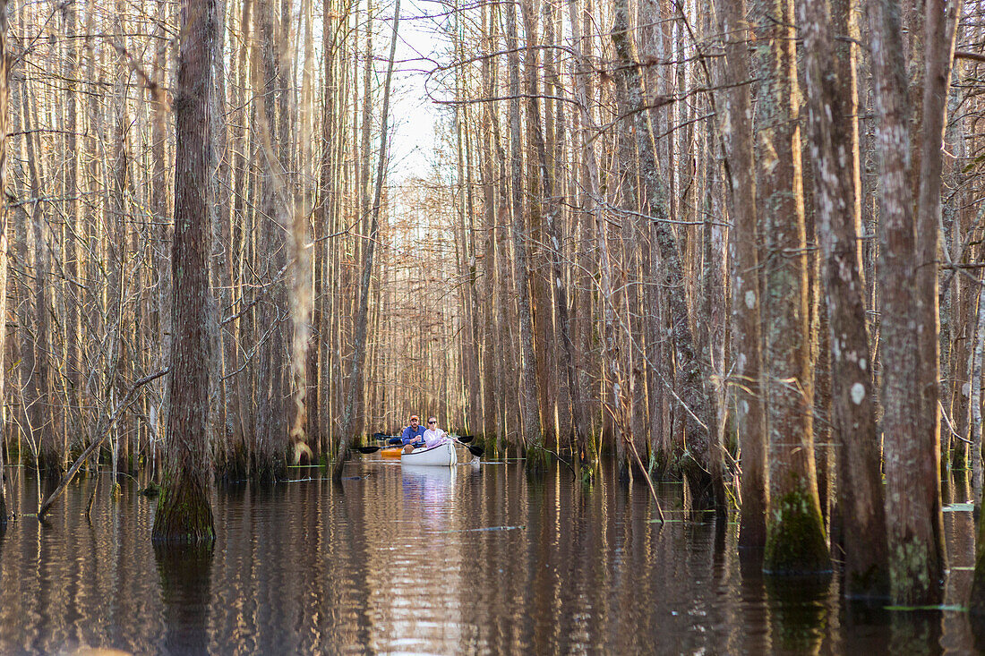 Caucasian men rowing canoes on river, Statesboro, Georgia, USA